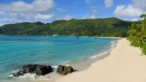 Idilliaca Spiaggia Bianca delle Seychelles: sabbia finissima, acque cristalline e palme a perdita d'occhio.